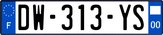 DW-313-YS