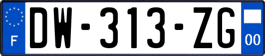 DW-313-ZG