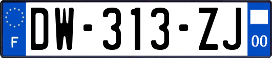 DW-313-ZJ