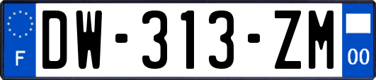 DW-313-ZM