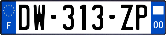 DW-313-ZP