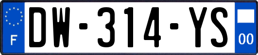 DW-314-YS