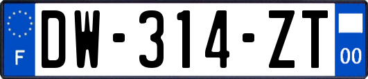 DW-314-ZT