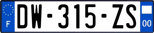 DW-315-ZS