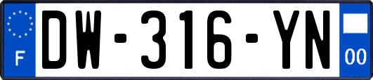 DW-316-YN