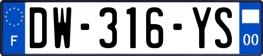 DW-316-YS