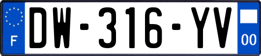 DW-316-YV