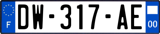 DW-317-AE