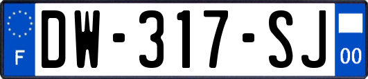 DW-317-SJ