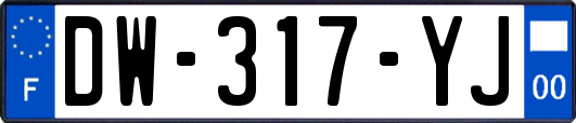 DW-317-YJ
