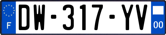 DW-317-YV