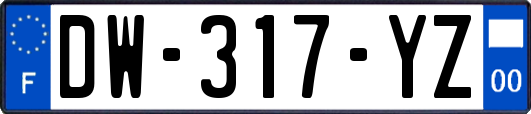 DW-317-YZ