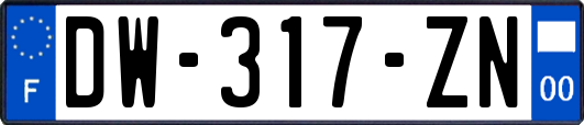 DW-317-ZN