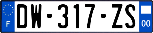 DW-317-ZS