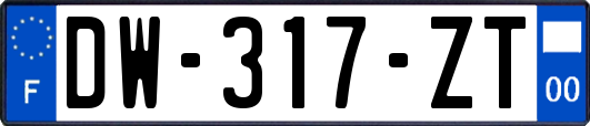 DW-317-ZT