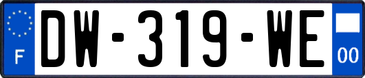 DW-319-WE