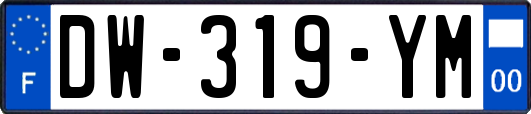 DW-319-YM