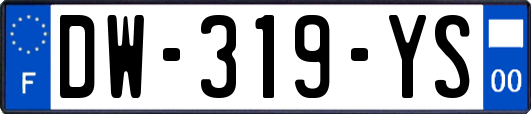 DW-319-YS