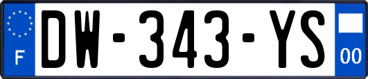 DW-343-YS