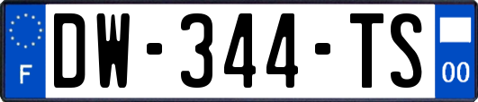 DW-344-TS