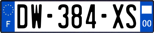 DW-384-XS