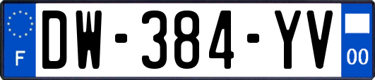 DW-384-YV