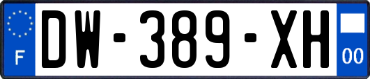 DW-389-XH