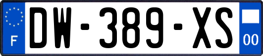 DW-389-XS