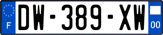 DW-389-XW