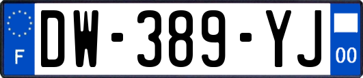 DW-389-YJ