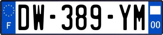 DW-389-YM