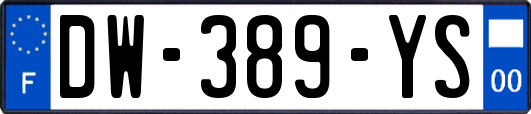 DW-389-YS