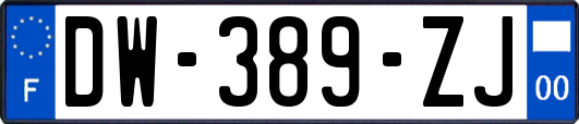 DW-389-ZJ