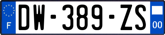 DW-389-ZS