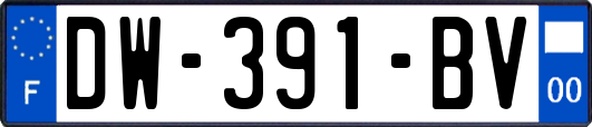 DW-391-BV