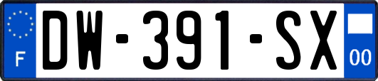 DW-391-SX