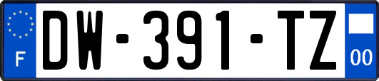 DW-391-TZ