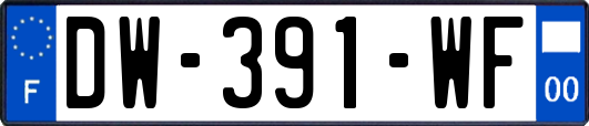 DW-391-WF