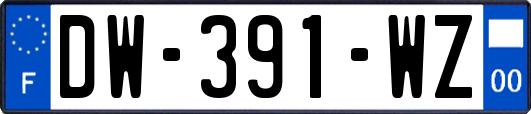 DW-391-WZ