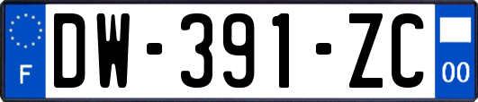 DW-391-ZC