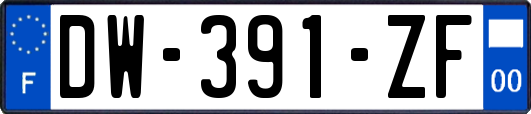 DW-391-ZF