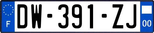 DW-391-ZJ