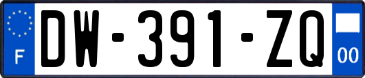 DW-391-ZQ