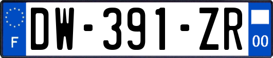 DW-391-ZR