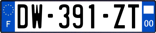 DW-391-ZT