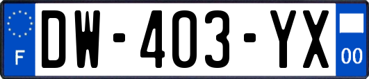 DW-403-YX