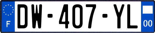 DW-407-YL