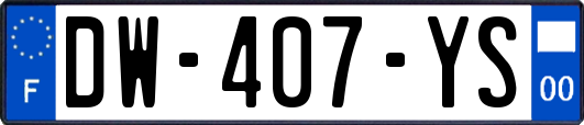 DW-407-YS