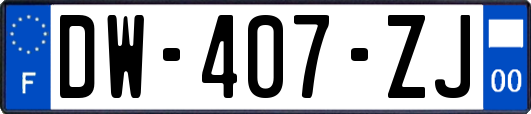 DW-407-ZJ