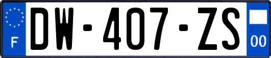 DW-407-ZS